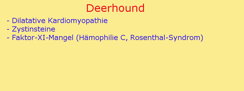 Erbkrankheiten Deerhound