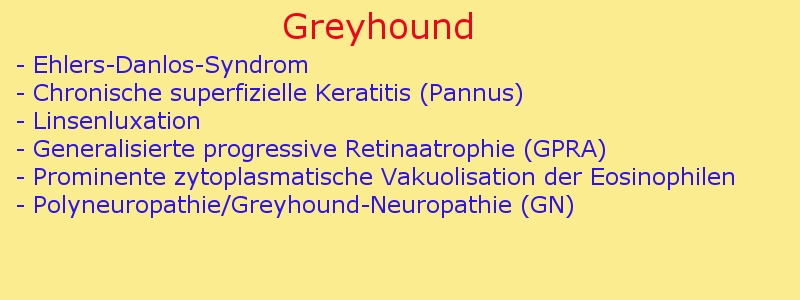 Erbkrankheiten Greyhound