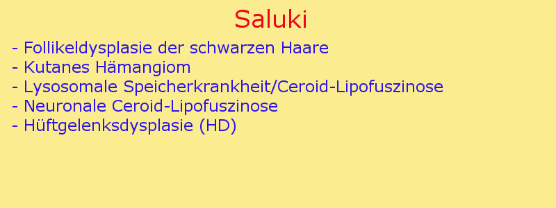 Erbkrankheiten Saluki