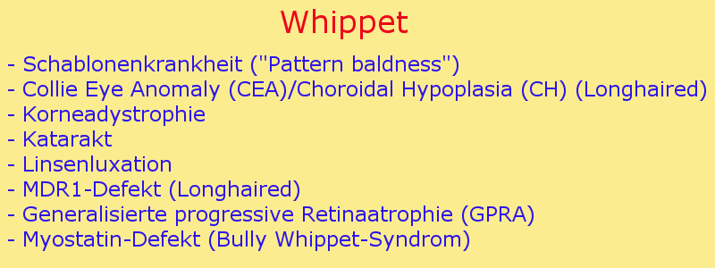 Erbkrankheiten Whippet
